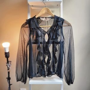 Sheer Black Vintage Long Sleeve Blouse